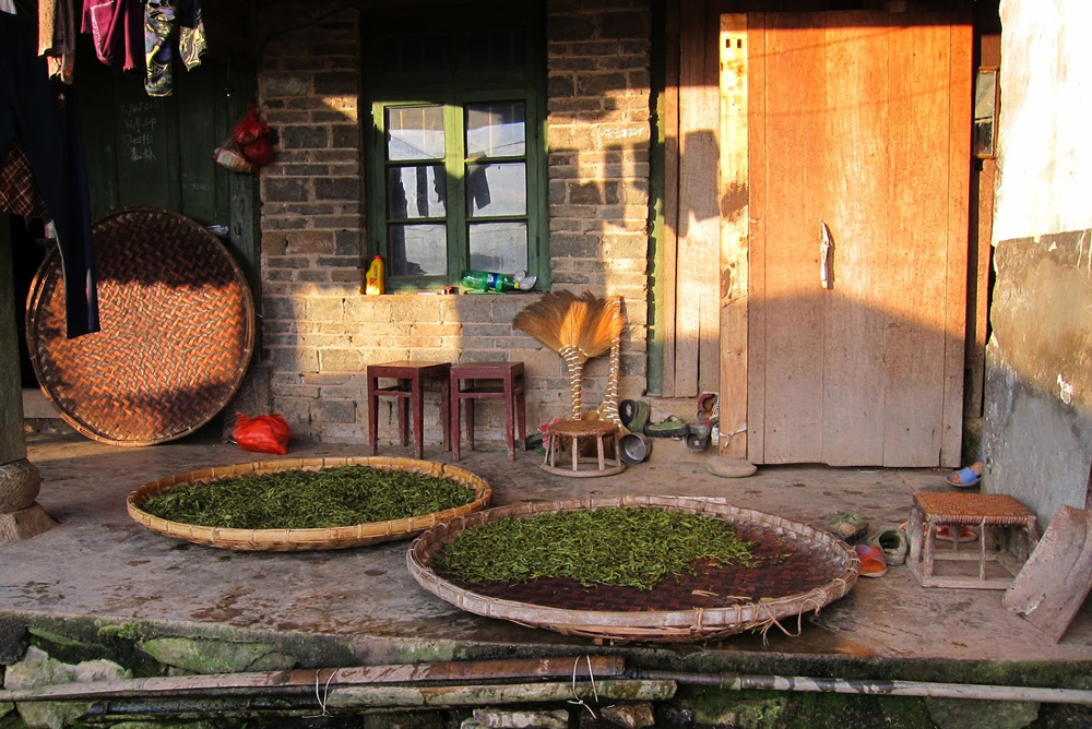 【世界のお茶】中国・お茶をめぐる旅：中国雲南省４～プーアル茶の旅後半