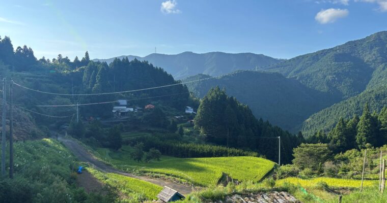 【日本のお茶】阿波晩茶の産地を訪ねて～前半～
